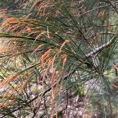 Unverified at suppressed - suppressed