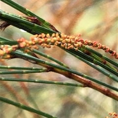 Unverified at suppressed - suppressed