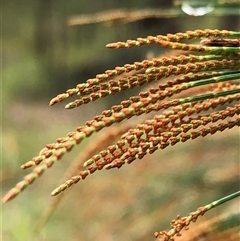 Unverified at suppressed - suppressed