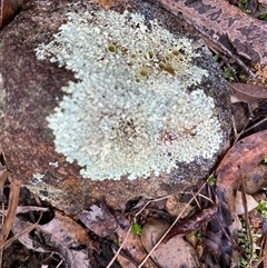 Unverified at suppressed - suppressed