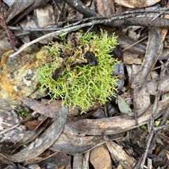 Unverified at suppressed - suppressed