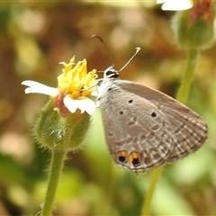 Unverified at suppressed - suppressed