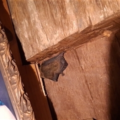 Unverified at suppressed - suppressed