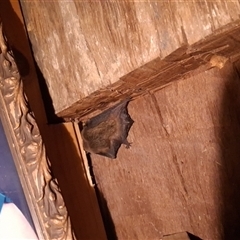 Unverified at suppressed - suppressed