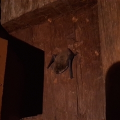 Unverified at suppressed - suppressed