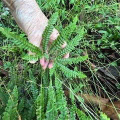 Unverified at suppressed - suppressed