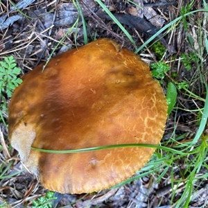 Unverified at suppressed - suppressed