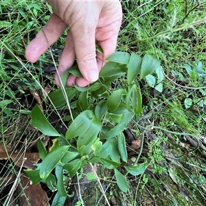 Unverified at suppressed - suppressed