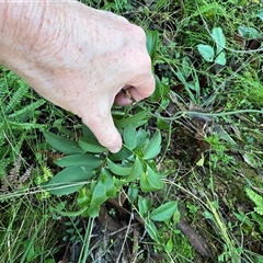 Unverified at suppressed - suppressed