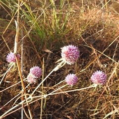 Unverified at suppressed - suppressed