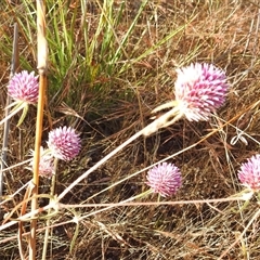 Unverified at suppressed - suppressed