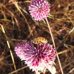 Unverified at suppressed - suppressed