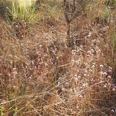 Unverified at suppressed - suppressed