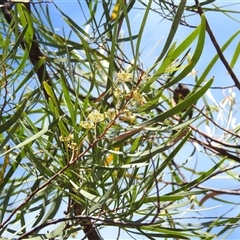 Unverified at suppressed - suppressed