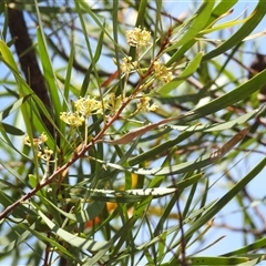 Unverified at suppressed - suppressed