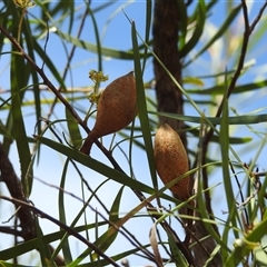 Unverified at suppressed - suppressed