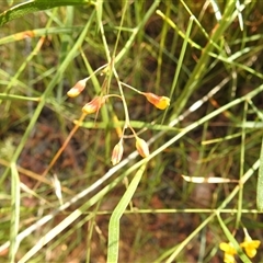 Unverified at suppressed - suppressed