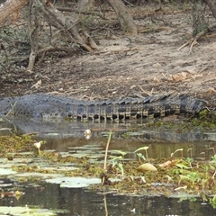 Unverified at suppressed - suppressed