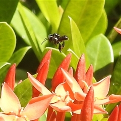 Unverified at suppressed - suppressed