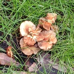 Unverified at suppressed - suppressed