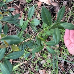 Unverified at suppressed - suppressed