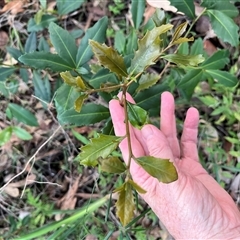 Unverified at suppressed - suppressed