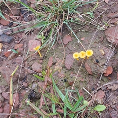 Unverified at suppressed - suppressed