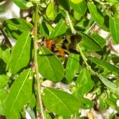 Unverified at suppressed - suppressed