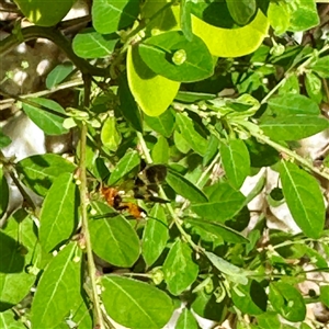 Unverified at suppressed - suppressed