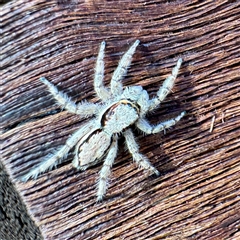 Unverified at suppressed - suppressed