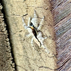 Unverified at suppressed - suppressed