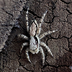 Unverified at suppressed - suppressed