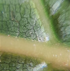 Unverified at suppressed - suppressed