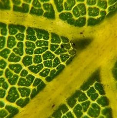 Unverified at suppressed - suppressed