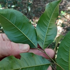 Unverified at suppressed - suppressed