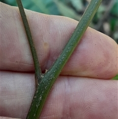 Unverified at suppressed - suppressed