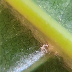 Unverified at suppressed - suppressed