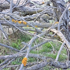 Unverified at suppressed - suppressed