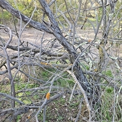 Unverified at suppressed - suppressed