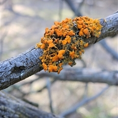 Unverified at suppressed - suppressed