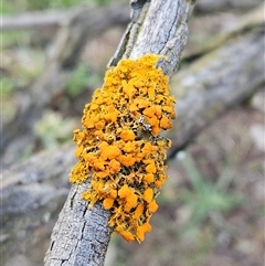 Unverified at suppressed - suppressed