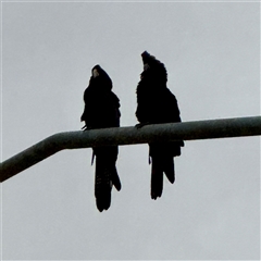 Unverified at suppressed - suppressed