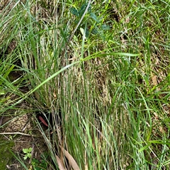 Unverified at suppressed - suppressed