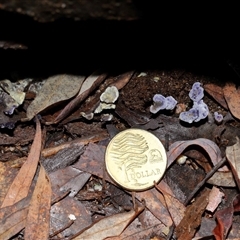 Unverified at suppressed - suppressed