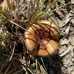 Unverified at suppressed - suppressed