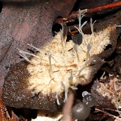 Unverified at suppressed - suppressed