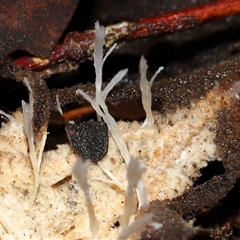 Unverified at suppressed - suppressed