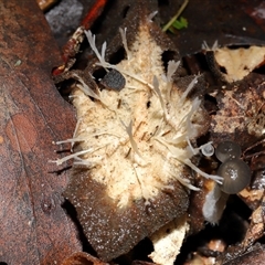 Unverified at suppressed - suppressed