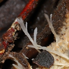 Unverified at suppressed - suppressed