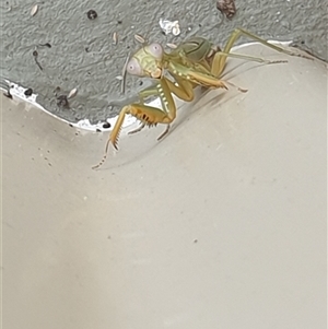 Unverified at suppressed - suppressed